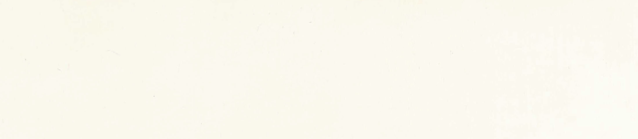 Soft Touch Lux Magnolia Pvc Edgebanding.