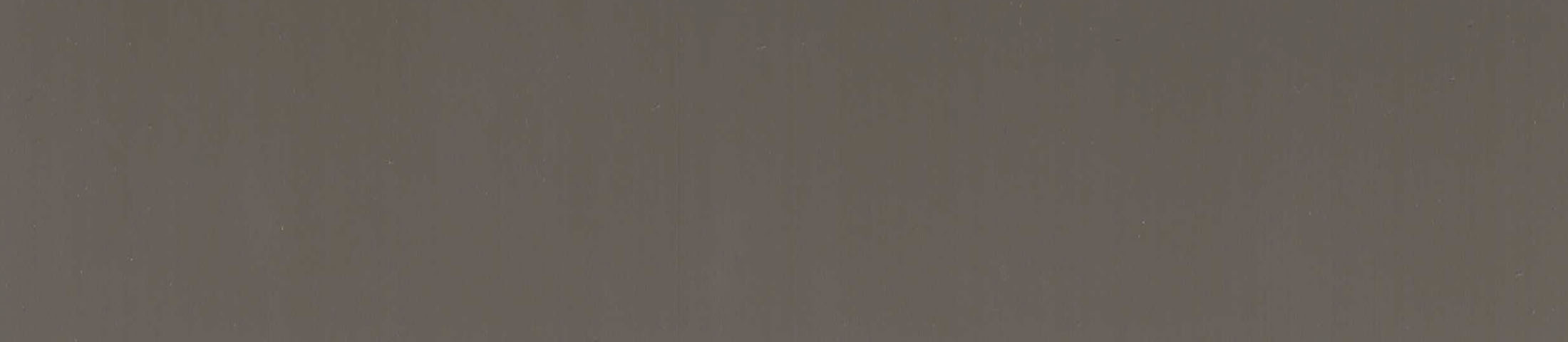 Hg. Gris Calido Autum Pvc Edgebanding.